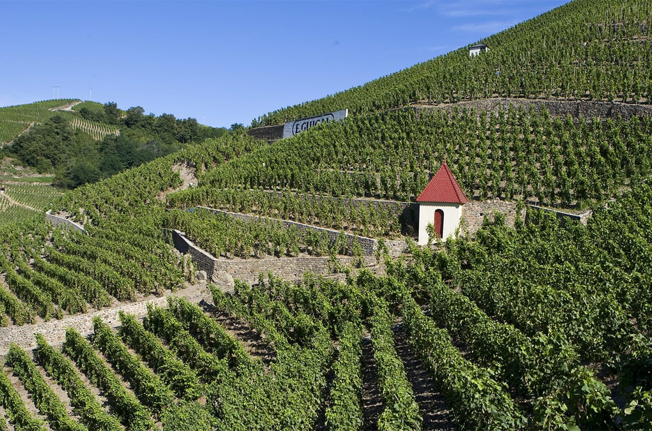 C&amp;ocirc;te-R&amp;ocirc;tie &amp;amp; Condrieu 2022