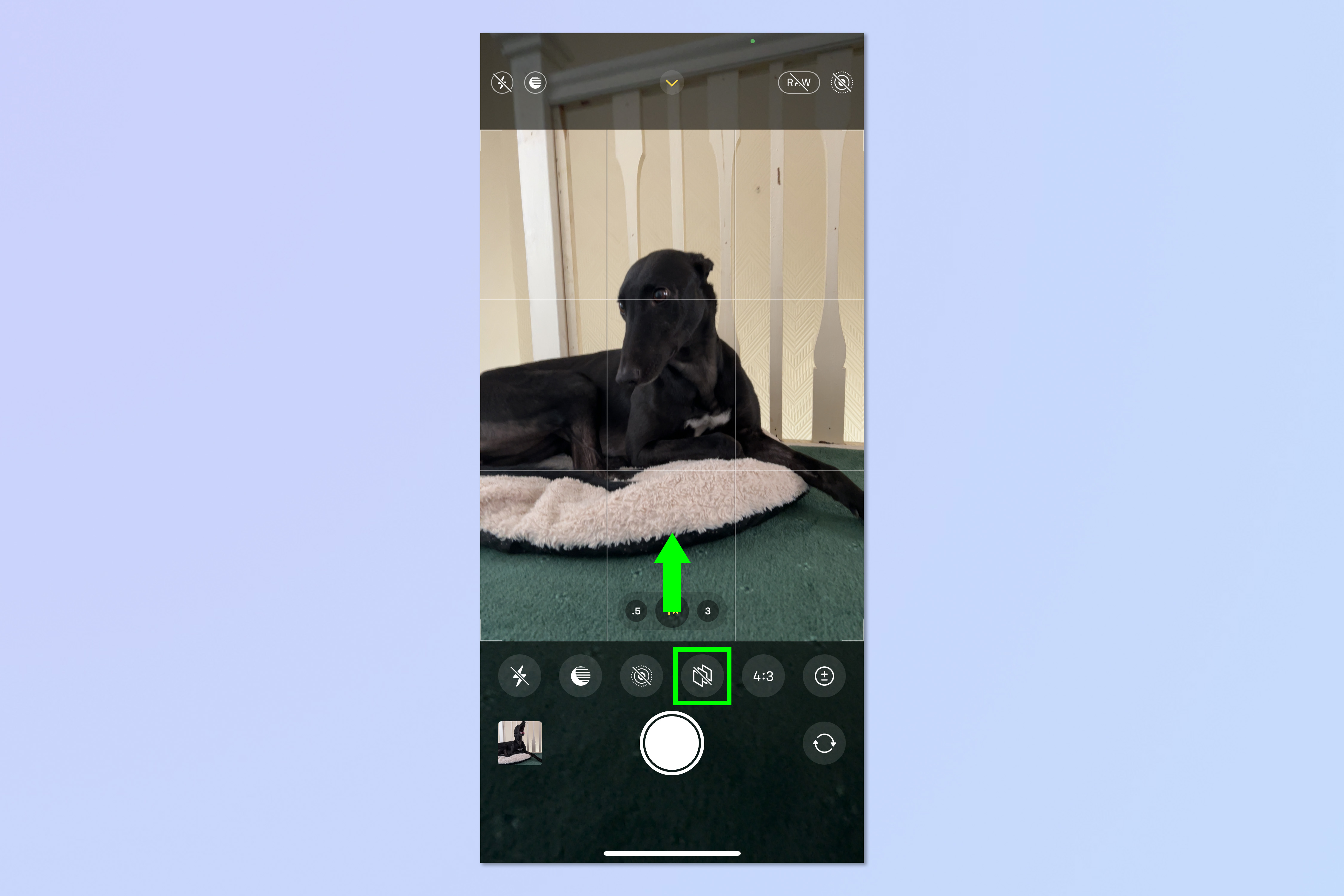 Снимок экрана, показывающий шаги, необходимые для установки фотографических стилей на iPhone.