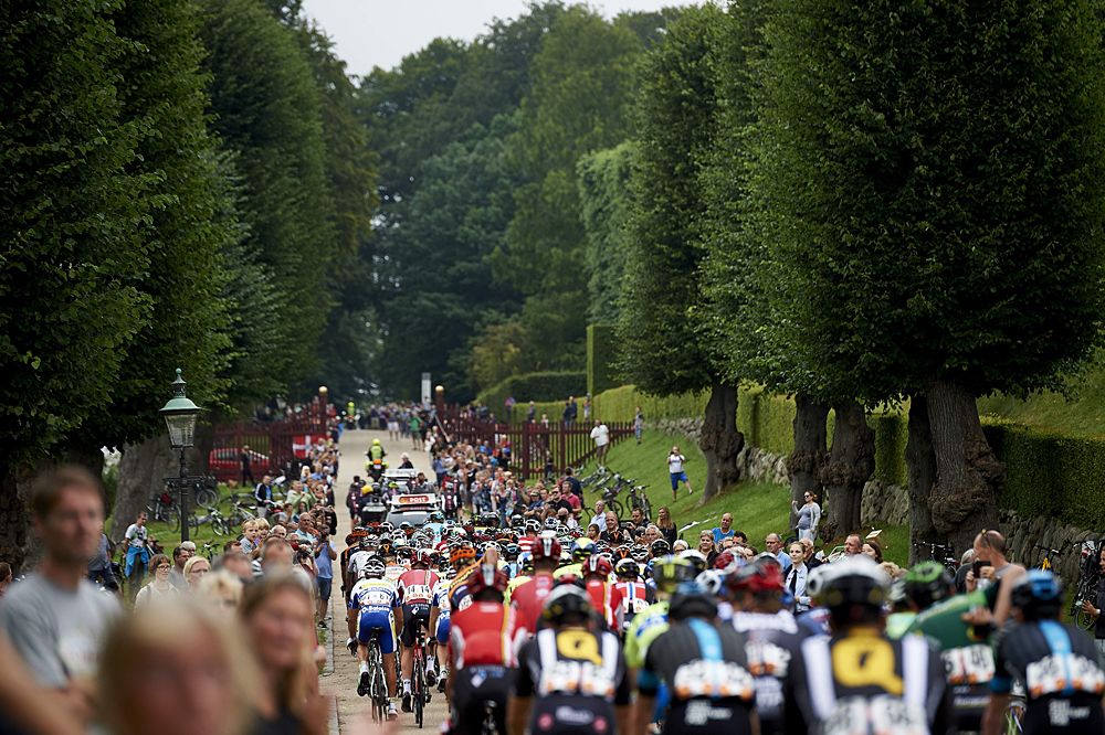 The peloton race the final stage of the Tour of Denmark