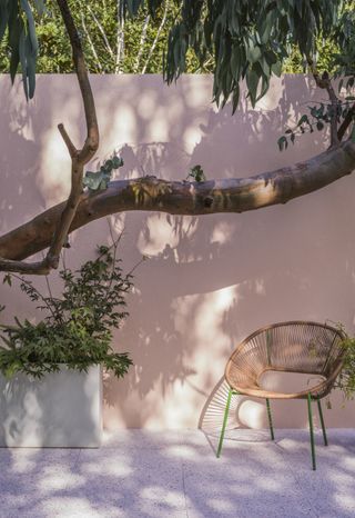 An outdoor area with a wall painted Setting Plaster