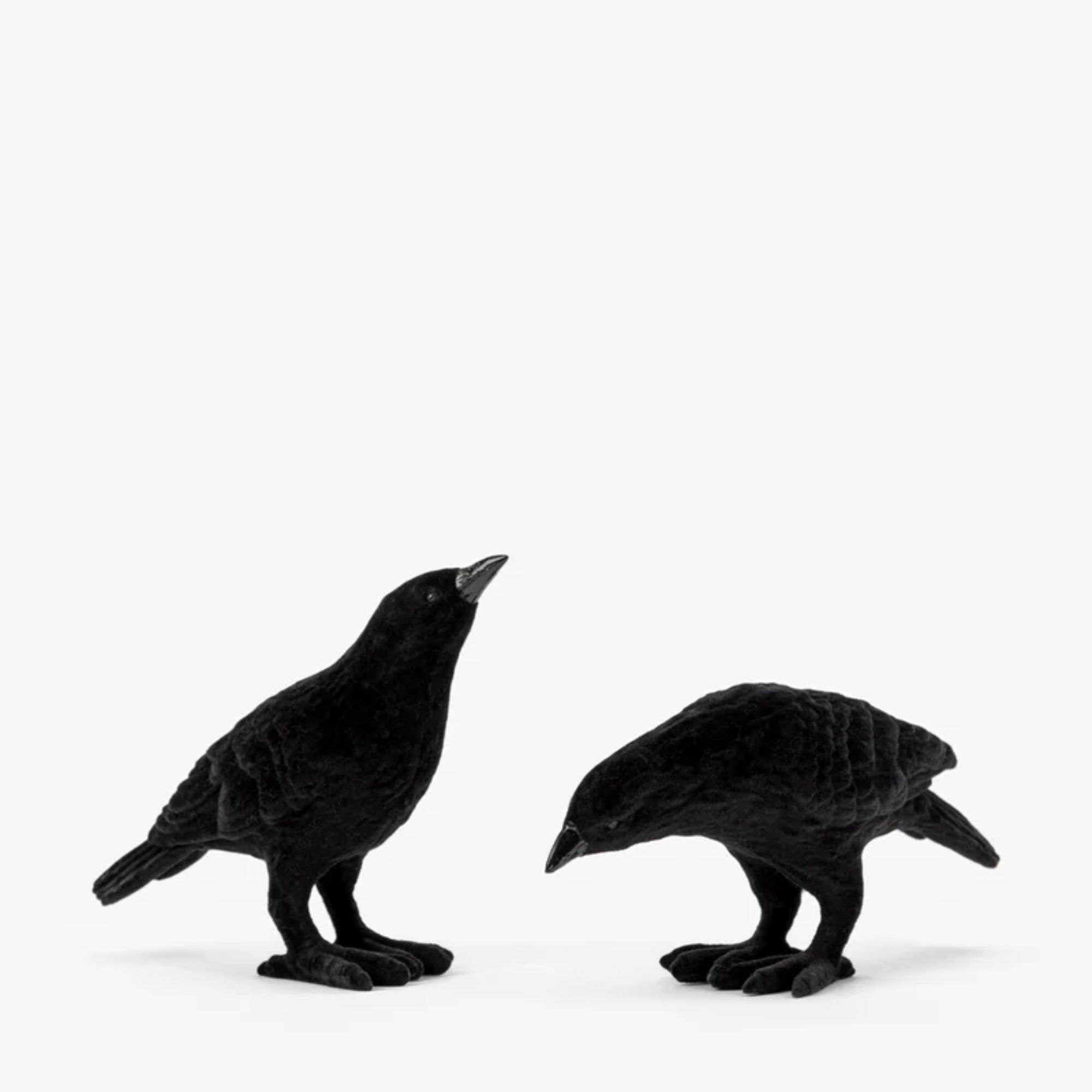 Two black crow ornaments