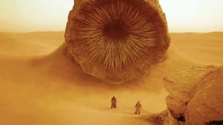 Dune sand worm