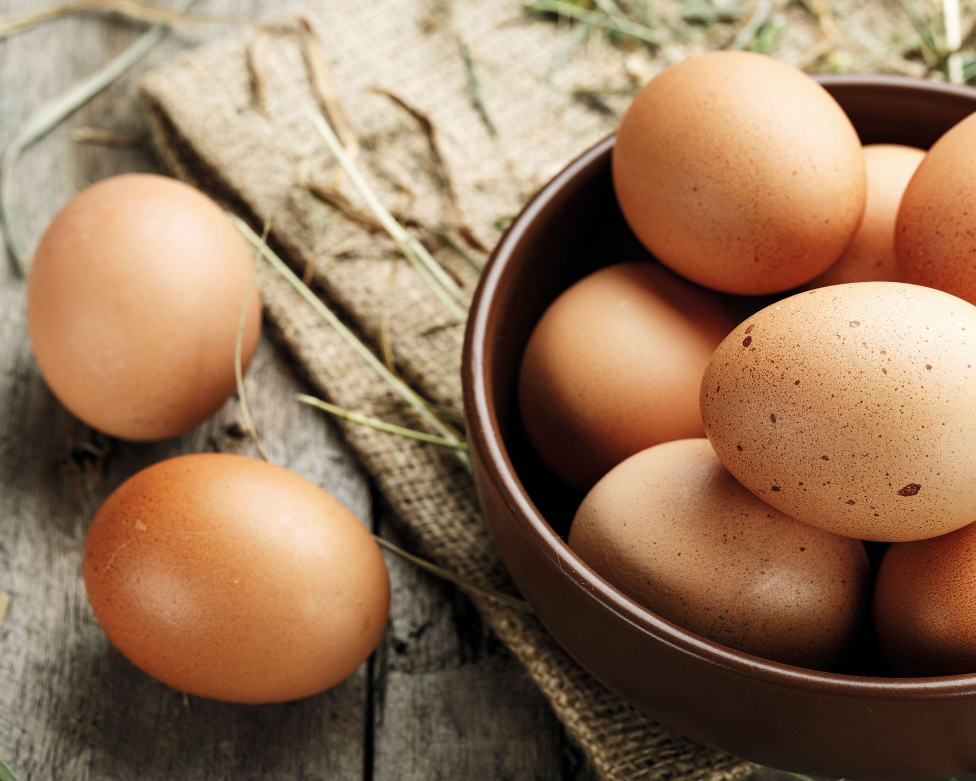 Keeping chickens a guide to keeping hens in your backyard Homes