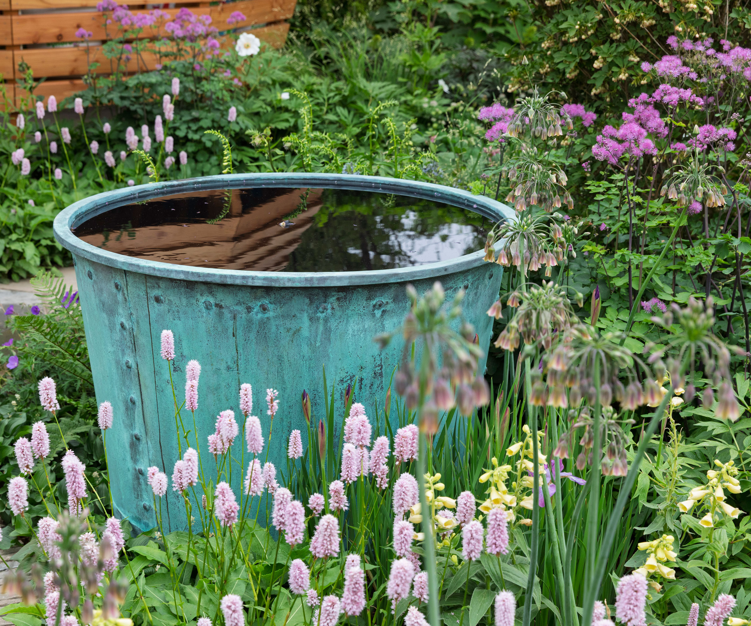 small metal water feature surrounded by pink planting including persicaria