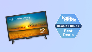 a basic entry level insignia TV which is just $59 with a black friday badge