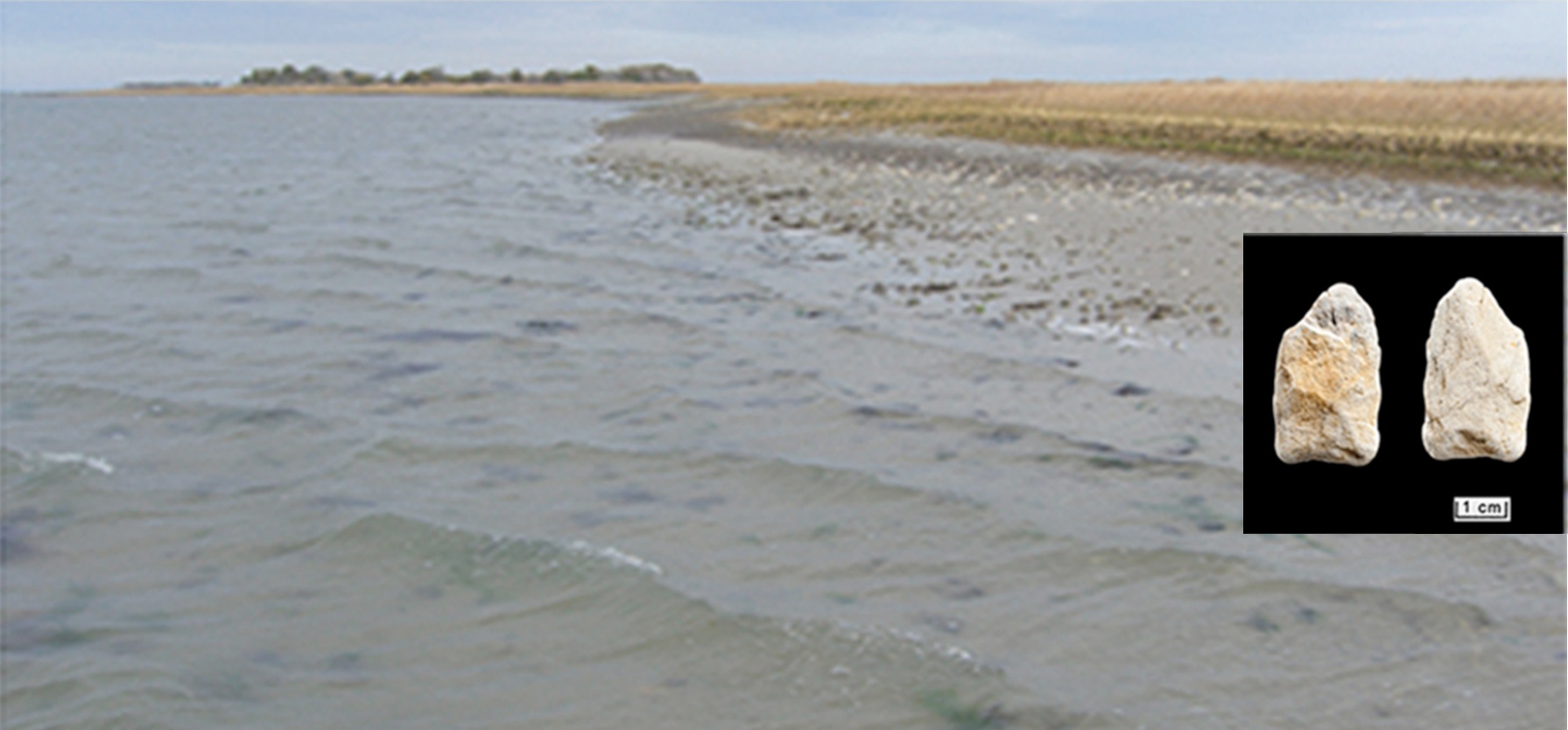 saltwater marsh
