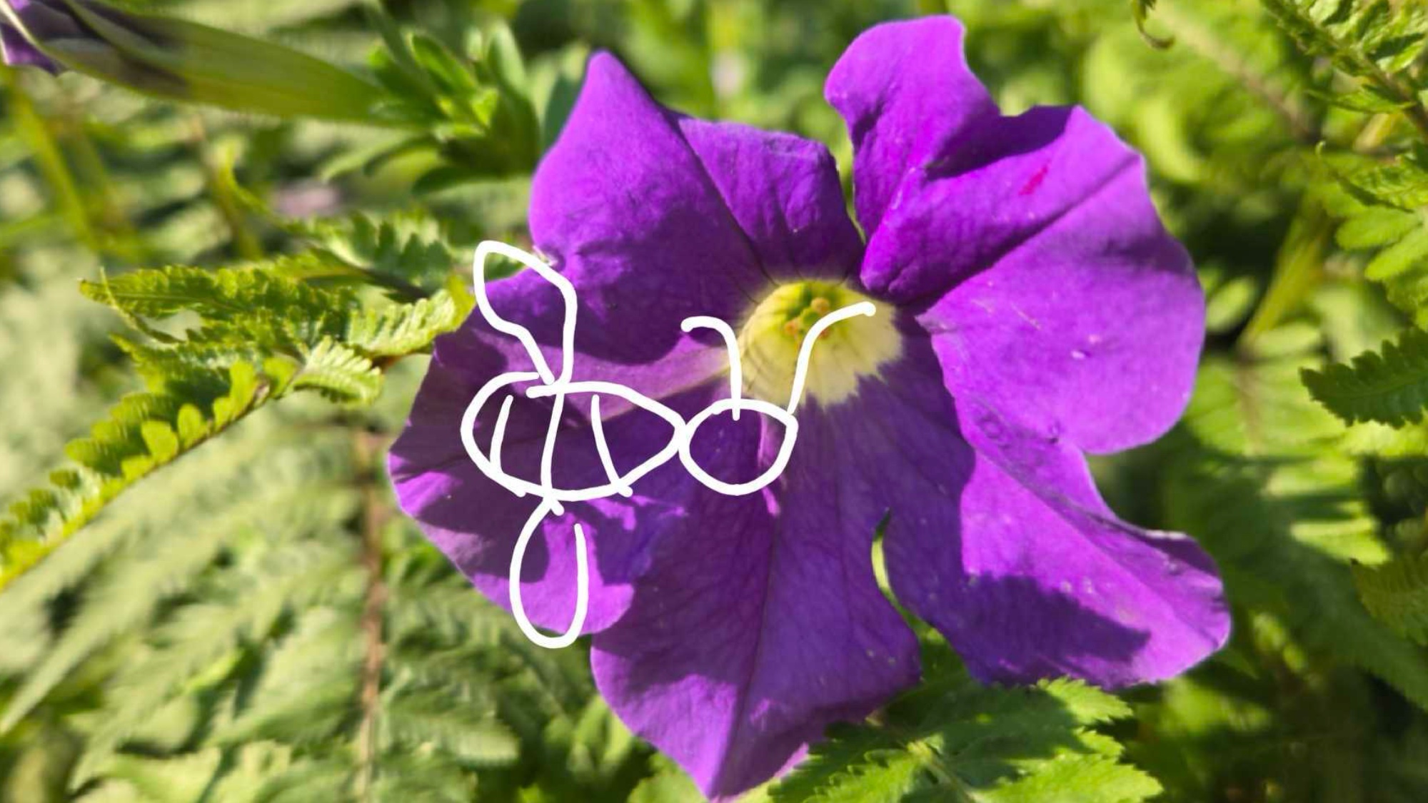 蜂の針を取り除く方法