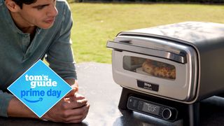 Ninja Artisan Pizza Oven deal