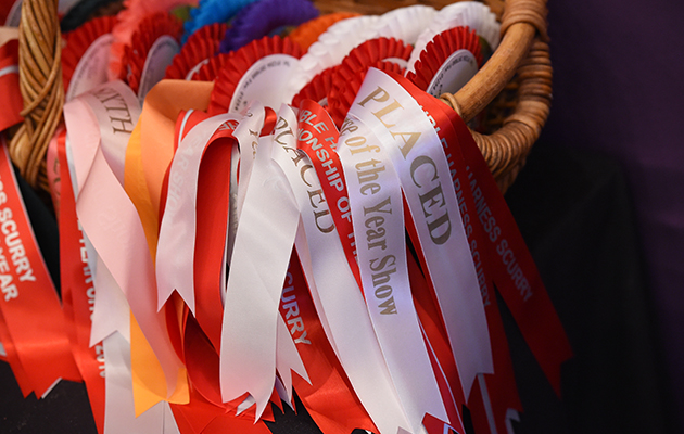 DSC_7536.jpg