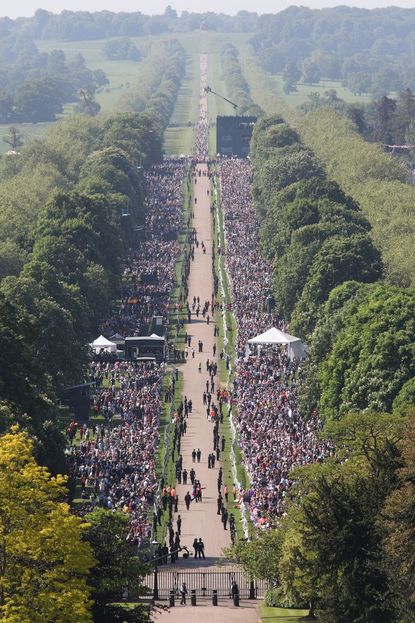 29 million Americans watched Meghan and Harry's wedding.