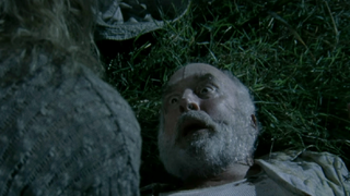 Dale as he is dying in The Walking Dead.