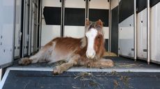 Mason on arrival at Redwings