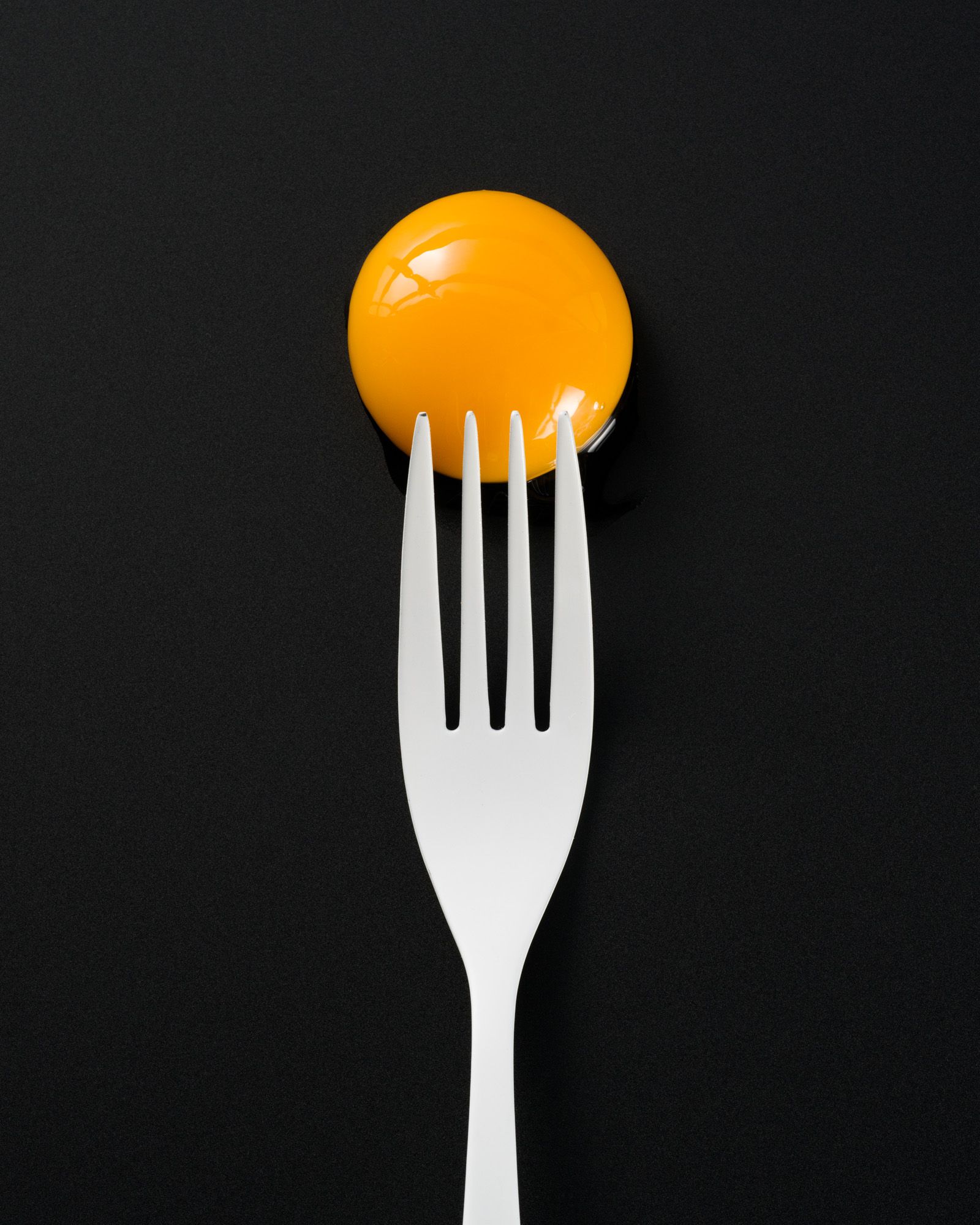 photography exhibition