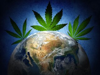 An artist's image shows marijuana plants overshadowing the Earth. 