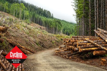 A gravel logging road on Vancouver Island, BC