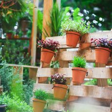Potted plants on a vertical wooden pallet