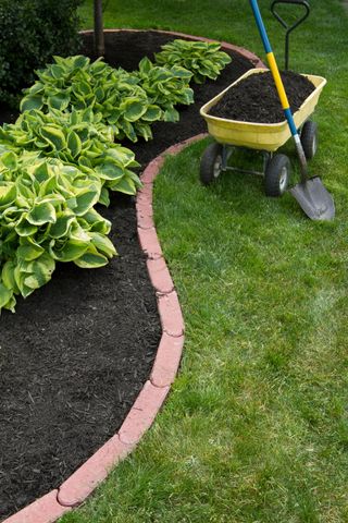 organic gardening: freshly mulched flowerbed