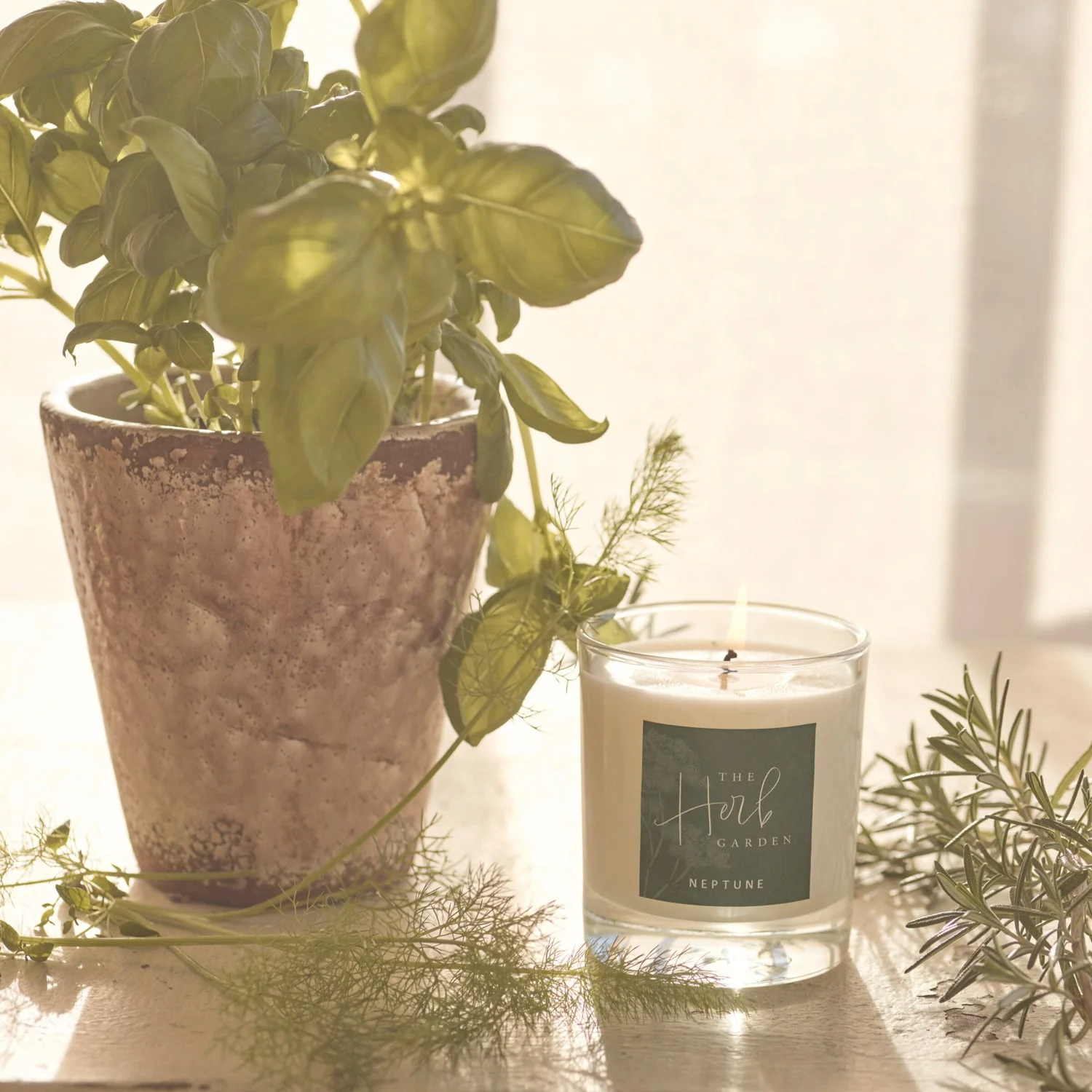 white glass candle next to basil pot and other herbs