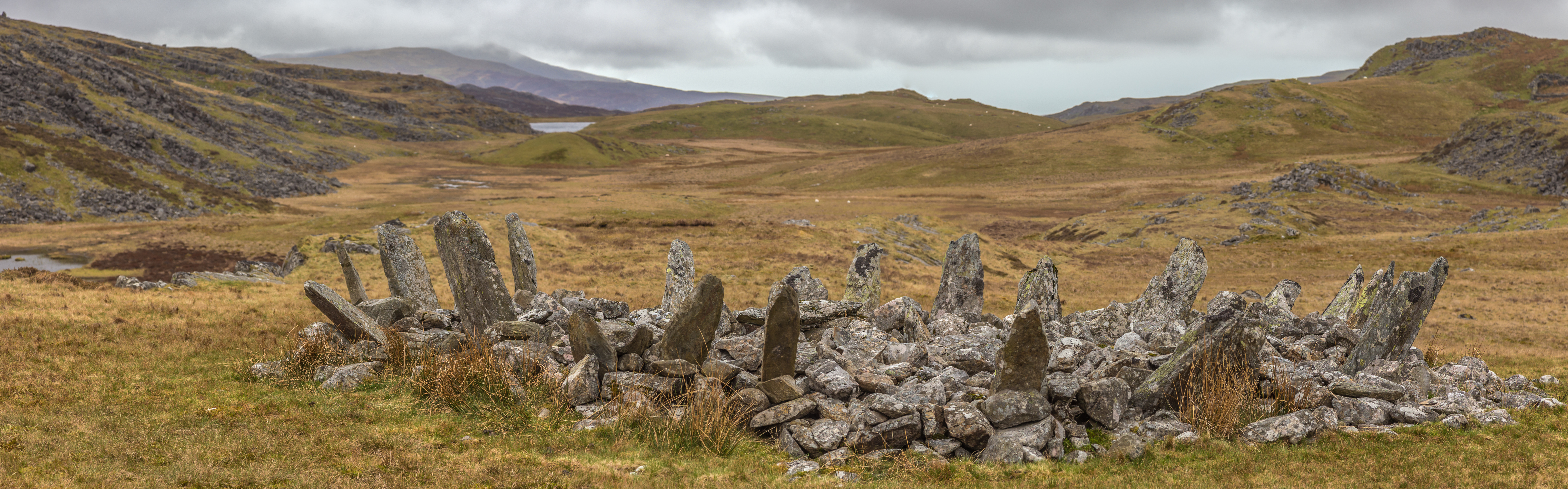 Bryn Cader Faner