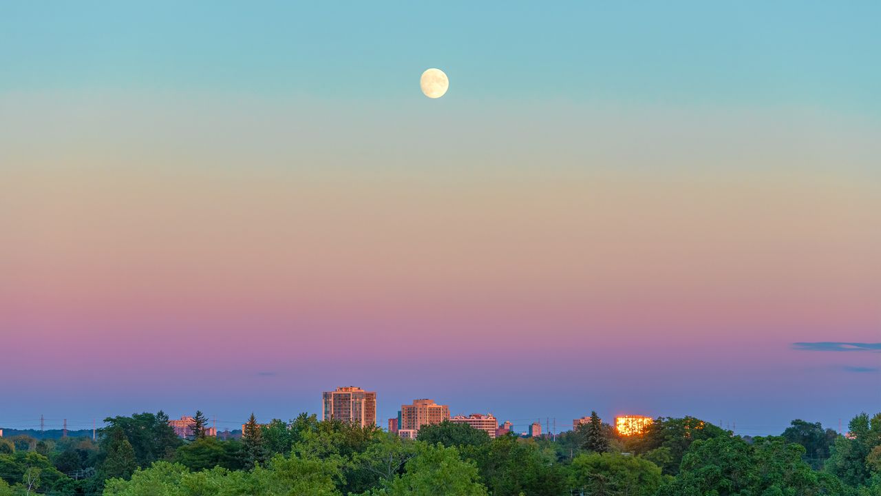 Want to know my secret for learning the night sky? Welcome to sidewalk stargazing