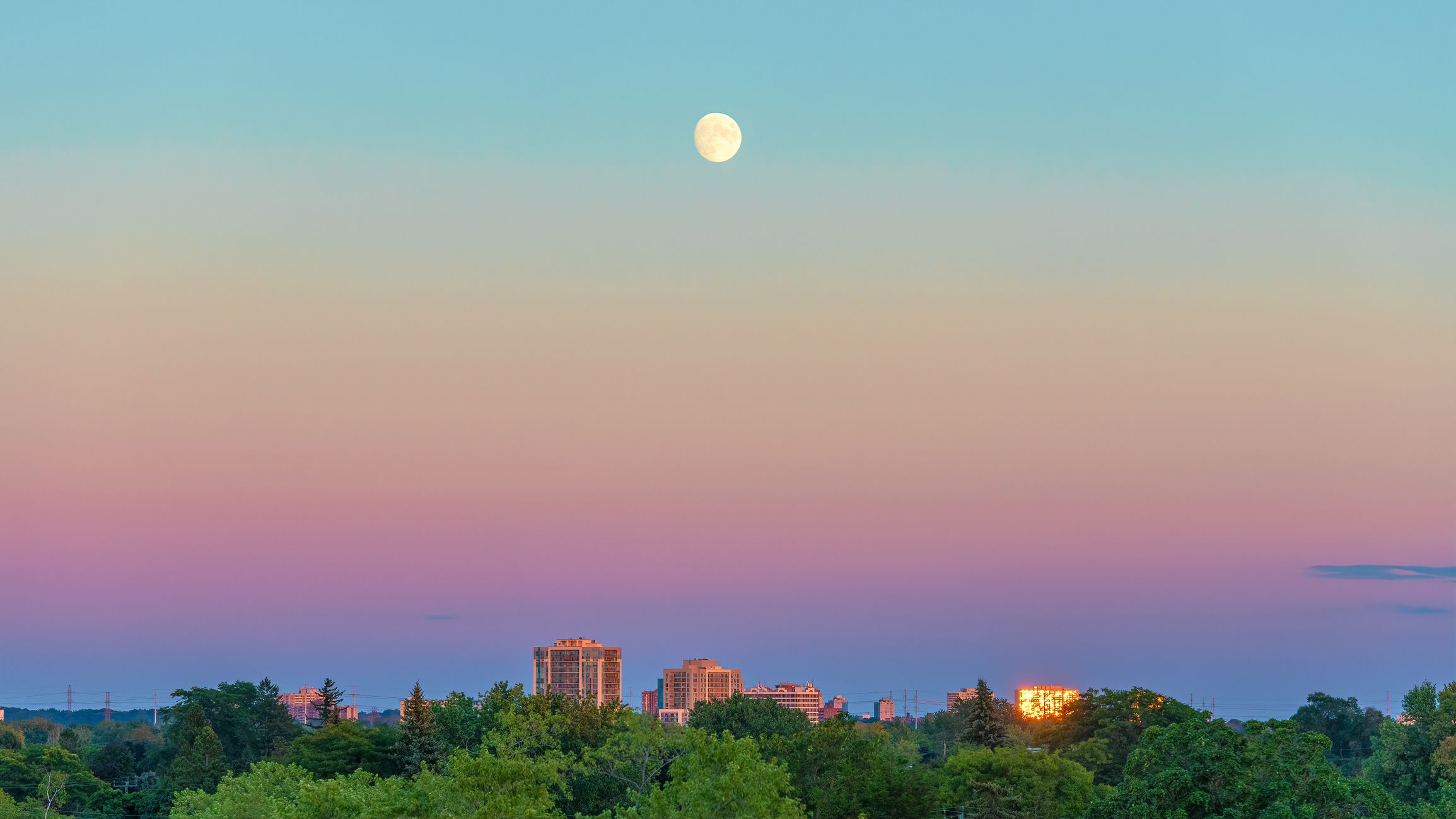 Want to know my secret for learning the night sky? Welcome to sidewalk stargazing