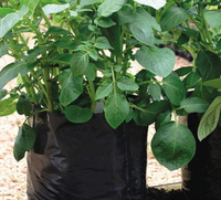 Potato grow bags: £2.99 (was £6.99) with every potato order | Thompson Morgan