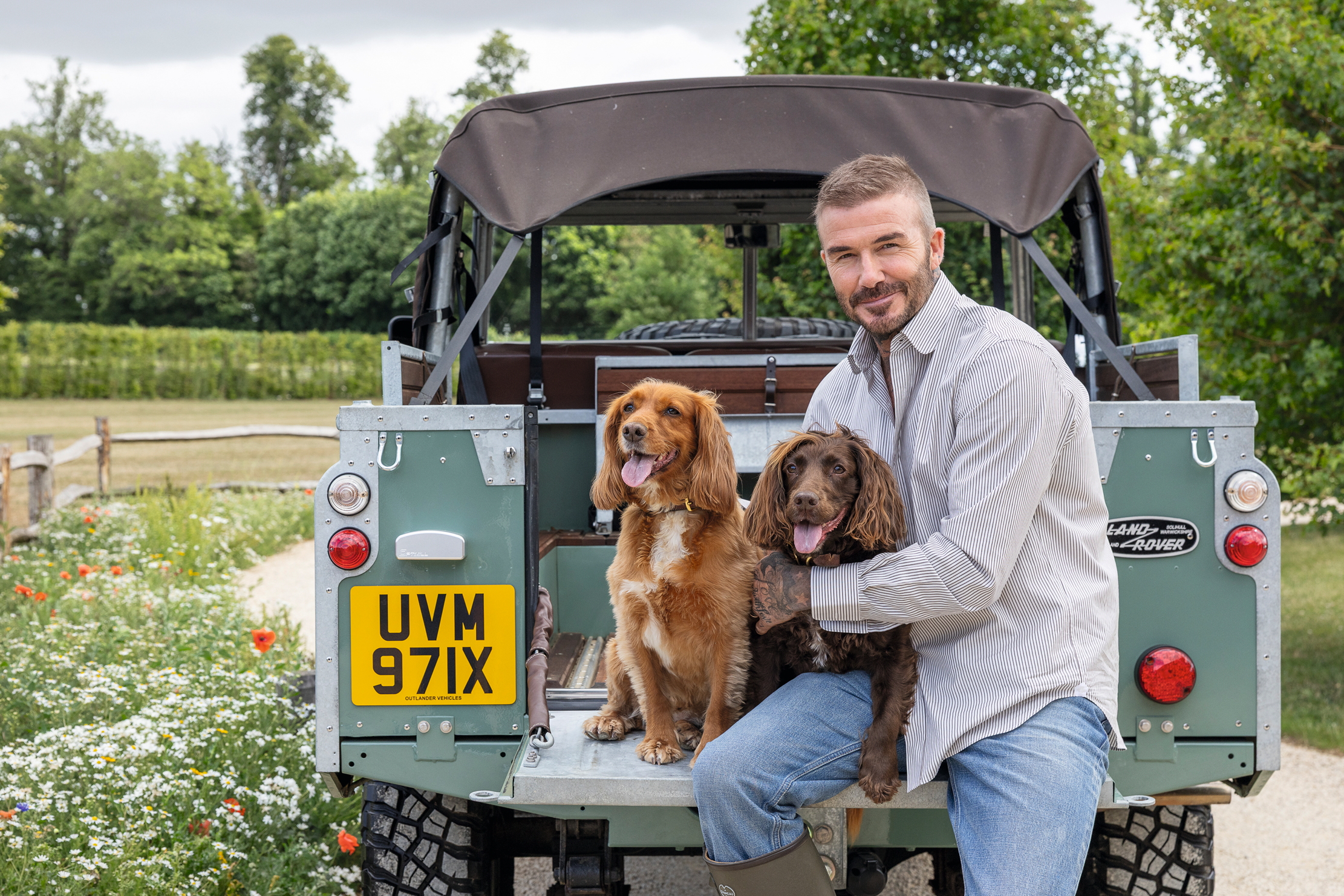 David Beckham sits in the boot of his car, a Defender, with some dogs
