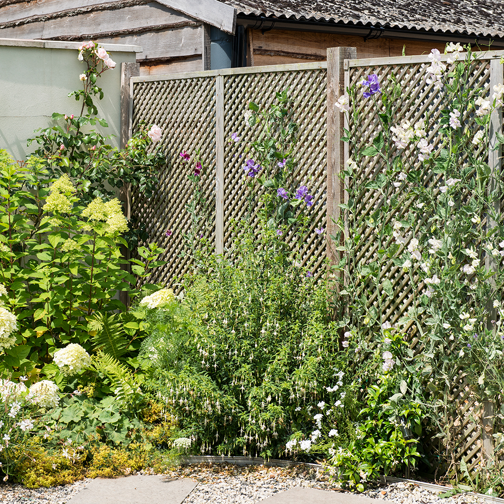 garden area with wooden fence and flower plants