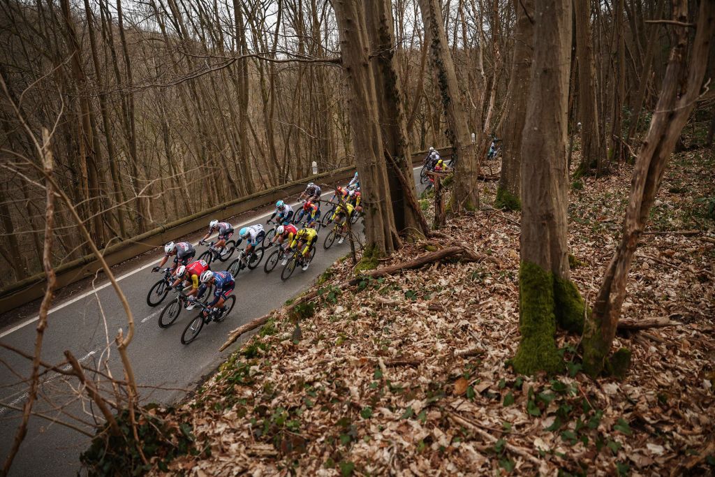The pack of riders cycles during the 1st stage of the Paris-Nice cycling race, 156,1 km between Le Perray-en-Yvelines and Le Perray-en-Yvelines, on March 9, 2025. (Photo by Anne-Christine POUJOULAT / AFP)