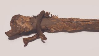 The human remains, with detail of a fabric roll around the ankle.