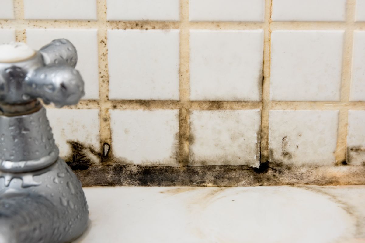 How to solve mould in bathrooms and get rid of it for good Homebuilding
