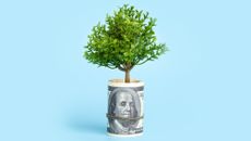 A tiny tree sprouts from a roll of cash.