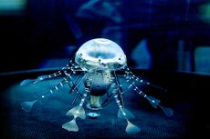 Underwater Drones