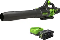 Greenworks 730 CFM Cordless Handheld Blower | was $249.99, now $169.99 at Best Buy (save $80)
