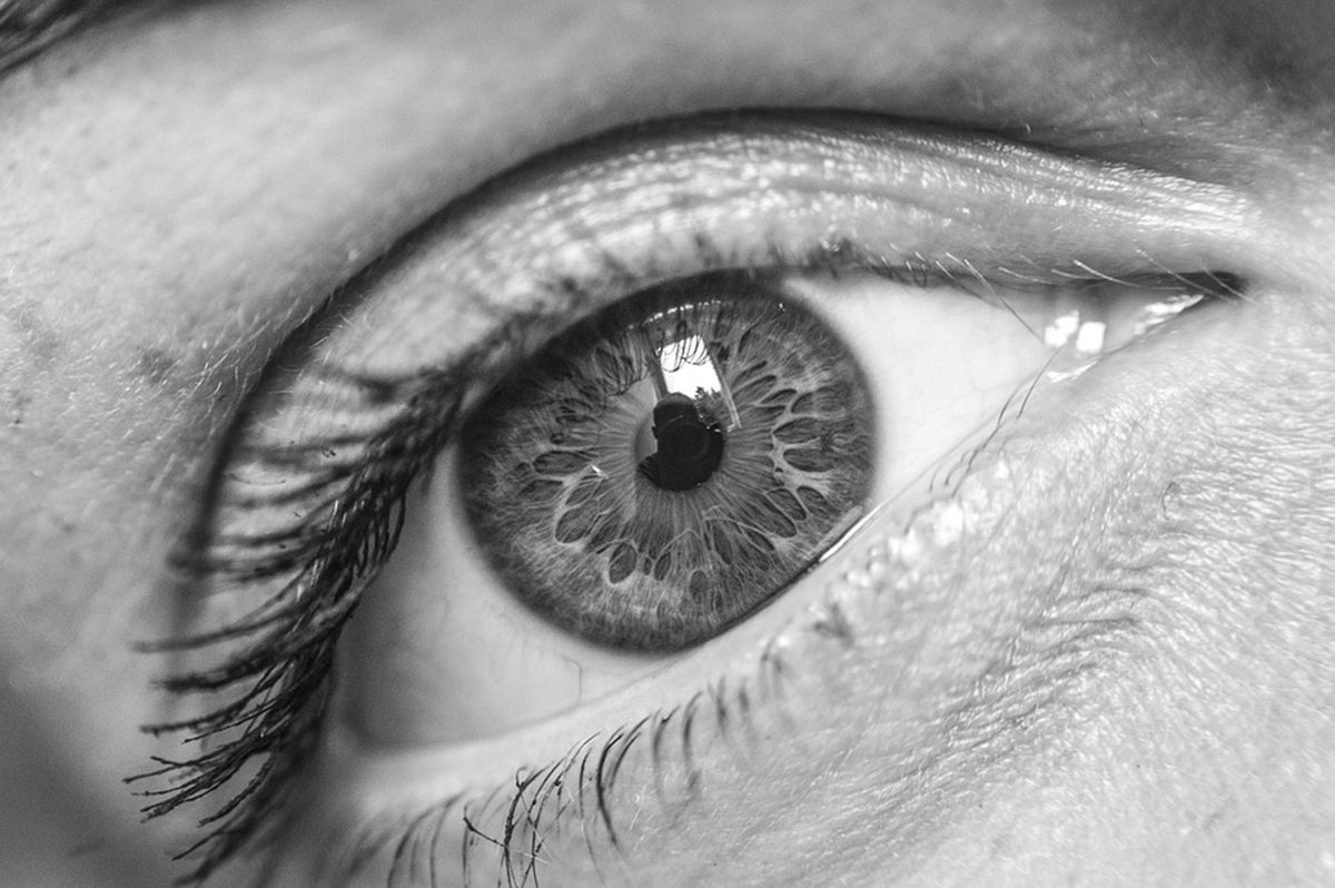 A photograph of a human eye.