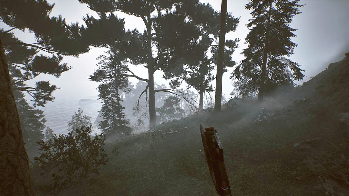 Among The Trolls by Avantgarden Games; a hand holding an axe is seen at the edge of a forest, on a hill, with mist and fog