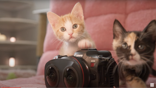 Two kittens and a Canon camera