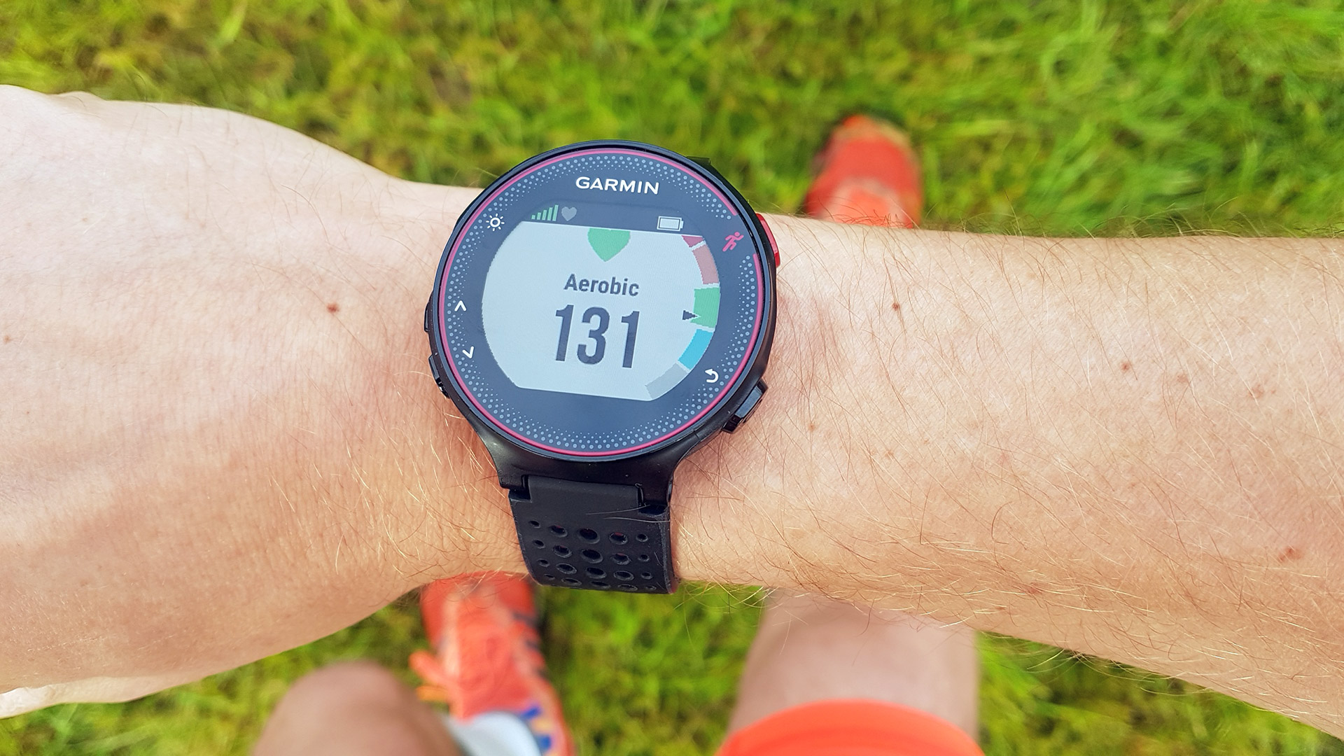 Best running watches for beginners, marathons and ultras