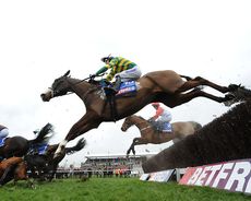 AP McCoy