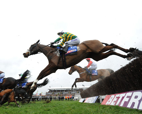 AP McCoy