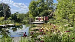 The view of a natural swimming pool in summer with natural filtration plants