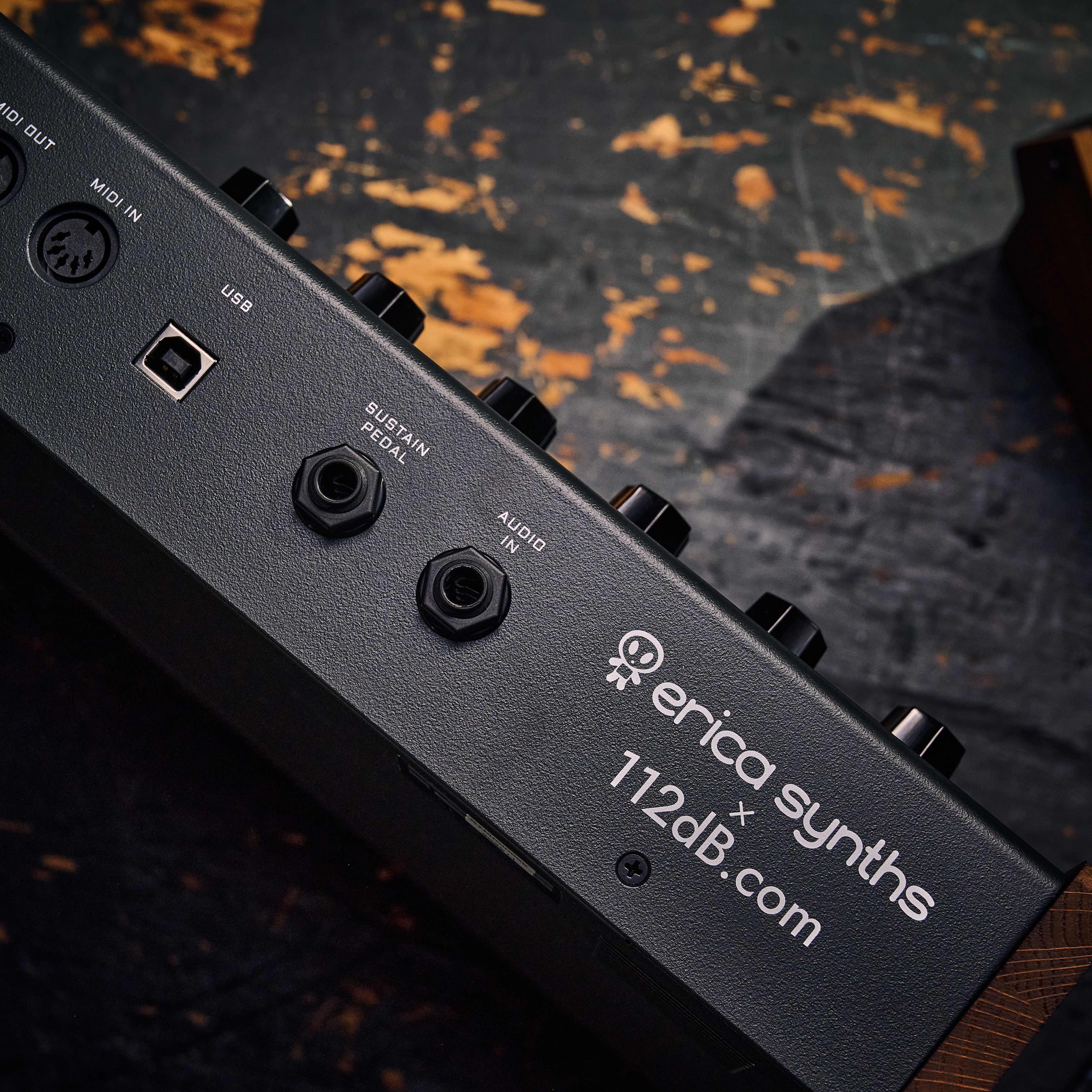 Erica Synths Steampipe