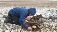 A man wearing a blue hoodie and black pants measures a half-unearthed skull in the midst of a landscape with white pebbles.