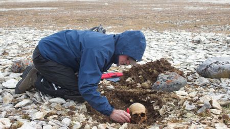 A man wearing a blue hoodie and black pants measures a half-unearthed skull in the midst of a landscape with white pebbles.