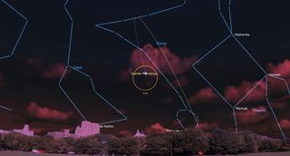 illustration of venus and jupiter in a circle on a diagram of the night sky. constellation figures surround the planets