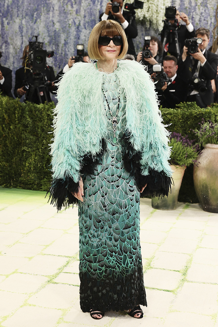 Anna Wintour 2026 Met Gala red carpet