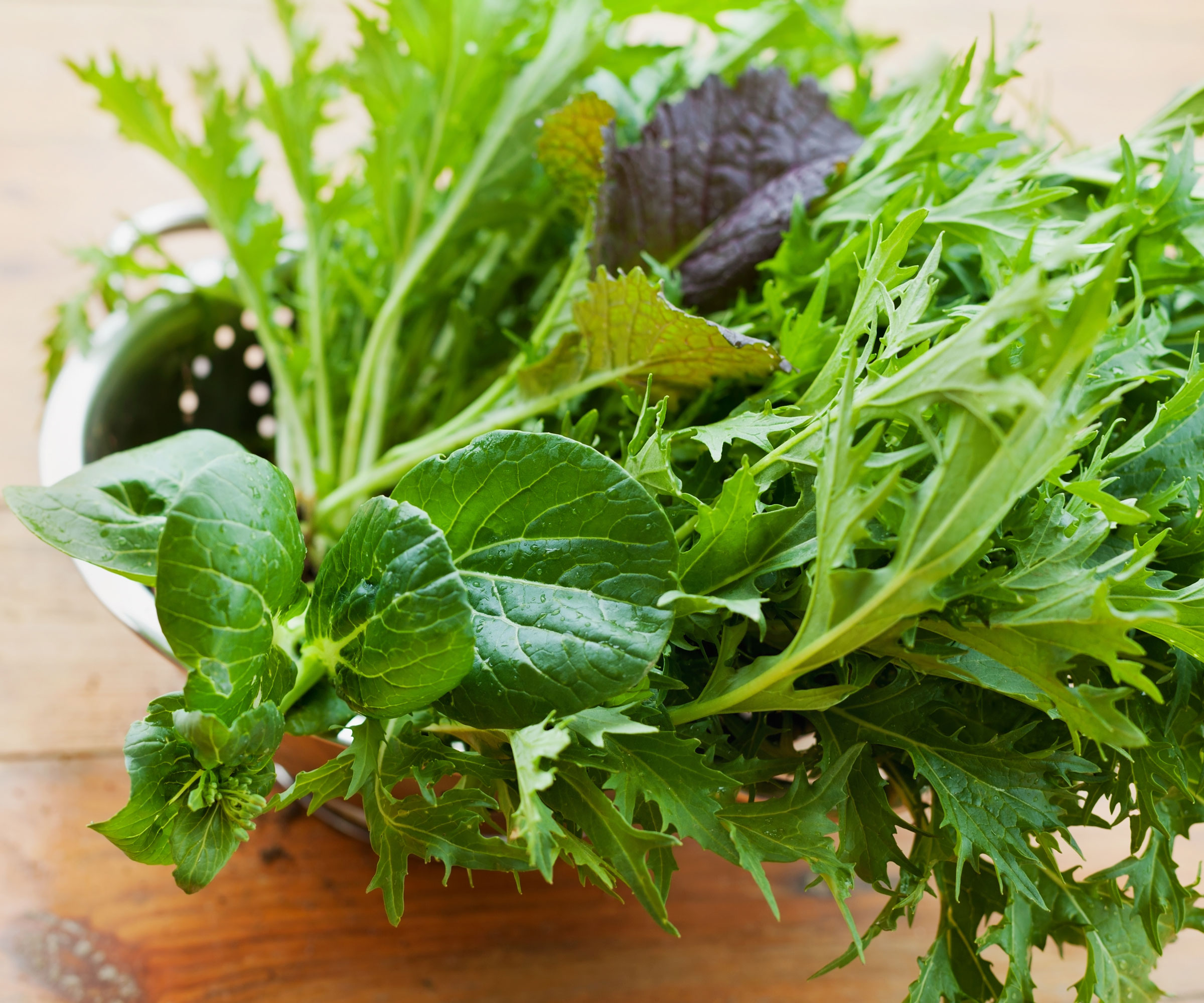 mizuna leaves with other salad leaves in silver colander