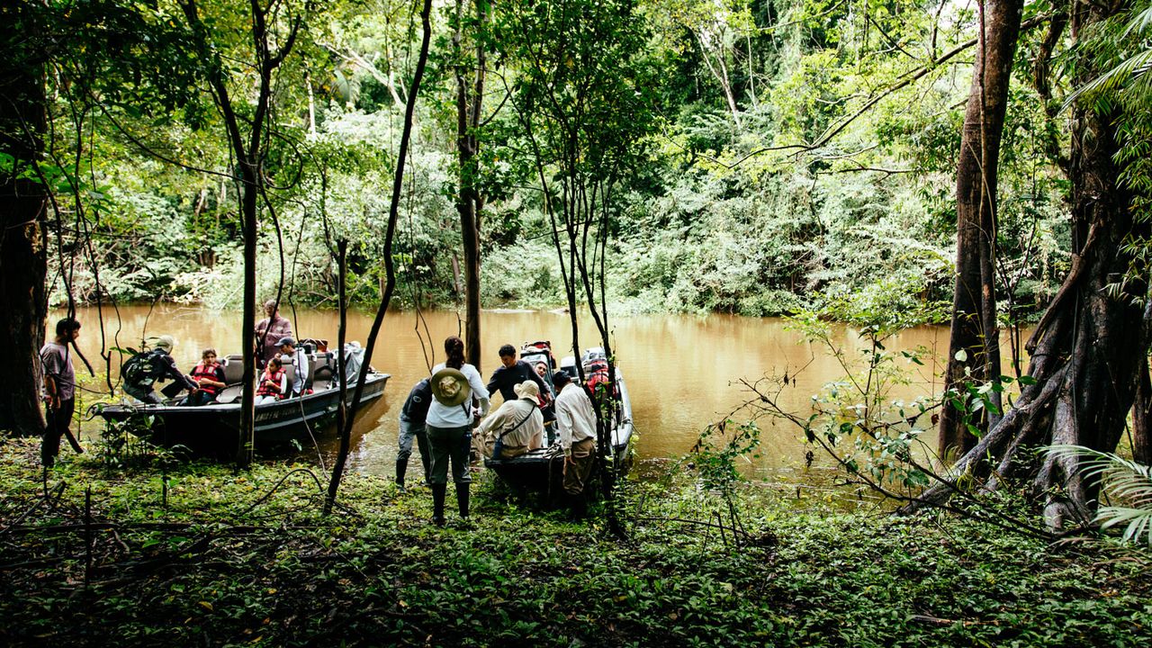Aria Amazon, Peru cruises