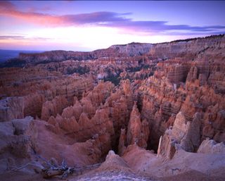 Looking down "Wall Street," from Sunset Point in Bryce Canyon National Park. The "buildings" in this image are natural rock formations called hoodoos.