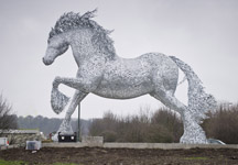 silver-cob.jpg